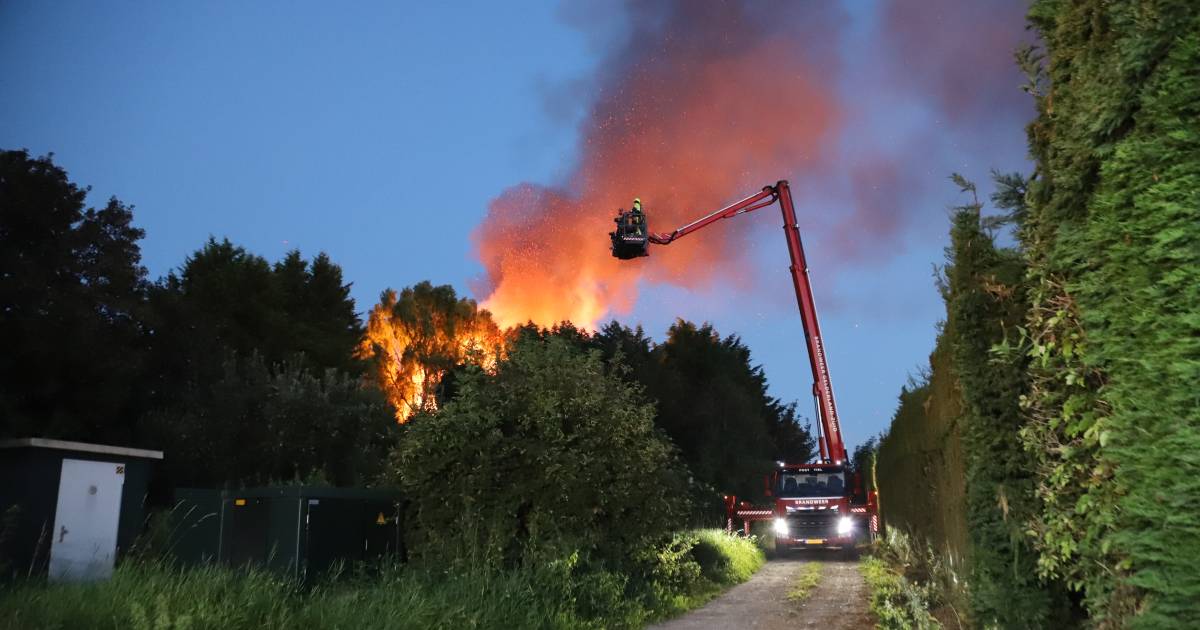 Metershoge vlammen bij uitslaande woningbrand in Kapel-Avezaath