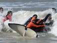 Zeven orka's aangespoeld op Argentijnse oostkust
