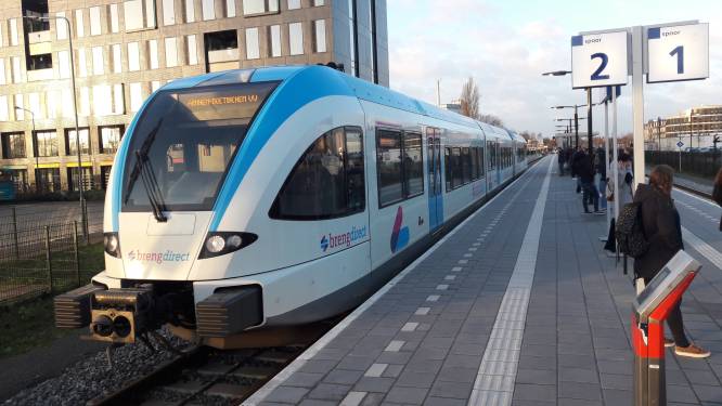 Drietal na korte achtervolging gepakt voor bekladden trein