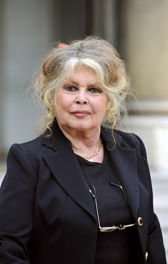 brigitte-bardot-eist-actie-van-europa-tegen-euthanasie-zwerfhonden-in
