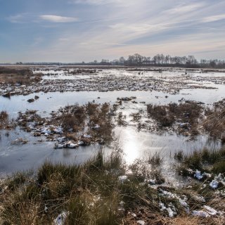 Realitycheck voor politiek: klimaat- en natuurplannen volstrekt onvoldoende