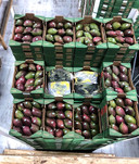 Cocaïne wordt vaak gesmokkeld in ladingen fruit, zoals mango's, zoals deze vangst in de Rotterdamse haven (2019).