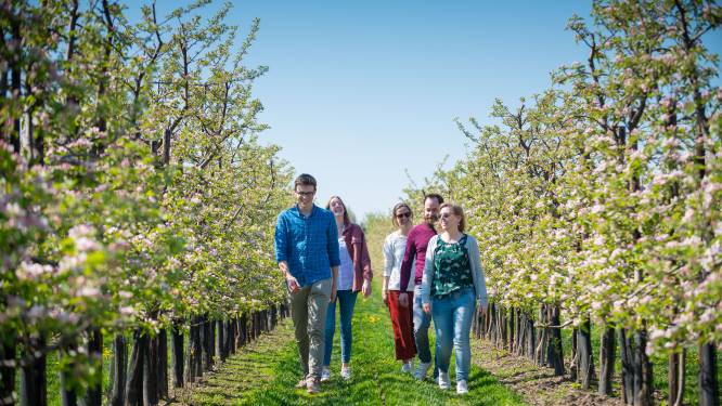 Sint-Jorisvrienden gaan op bloesemwandeling in Meensel-Kiezegem