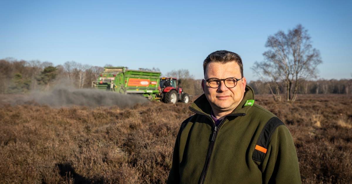 Waarom gemalen steen heideveld ‘Paardenslenkte’ in Hezingen extra boost geeft: ‘Hopen op terugkeer v