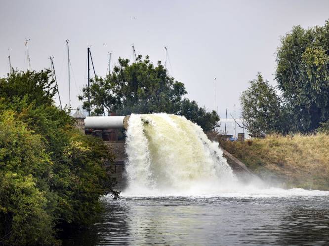 “Een ander waterpeilbeheer is nodig in strijd tegen droogte”, zegt Natuurpunt