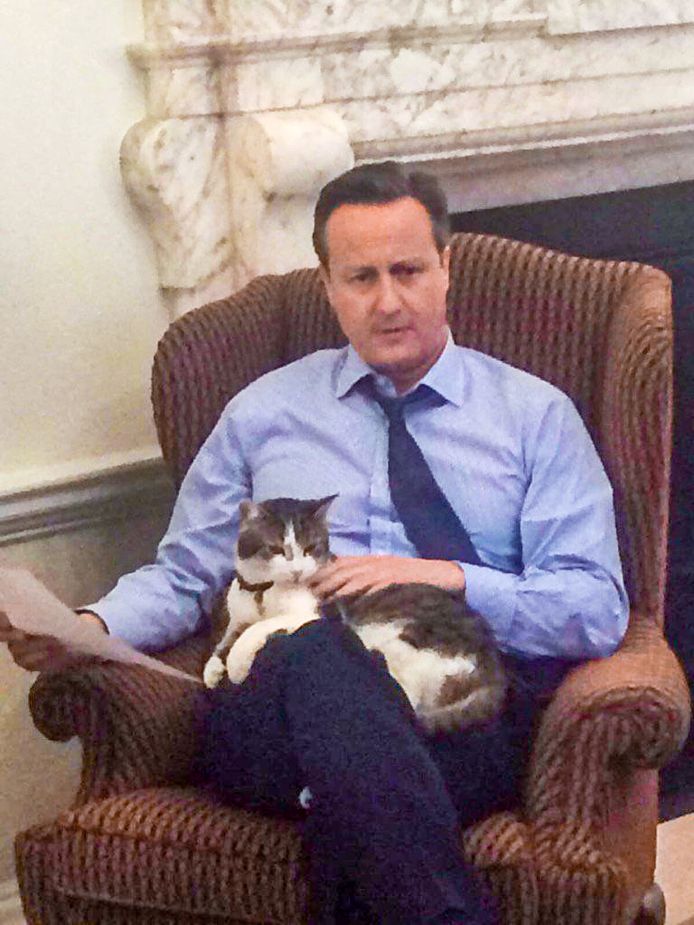 Oud-premier David Cameron was tussen 2011 en 2016 de eerste baas van Larry.