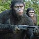 Vanavond op tv: Gapen naar pientere apen, het spookhuis van Ethan Hawke en een terminaal zieke arts