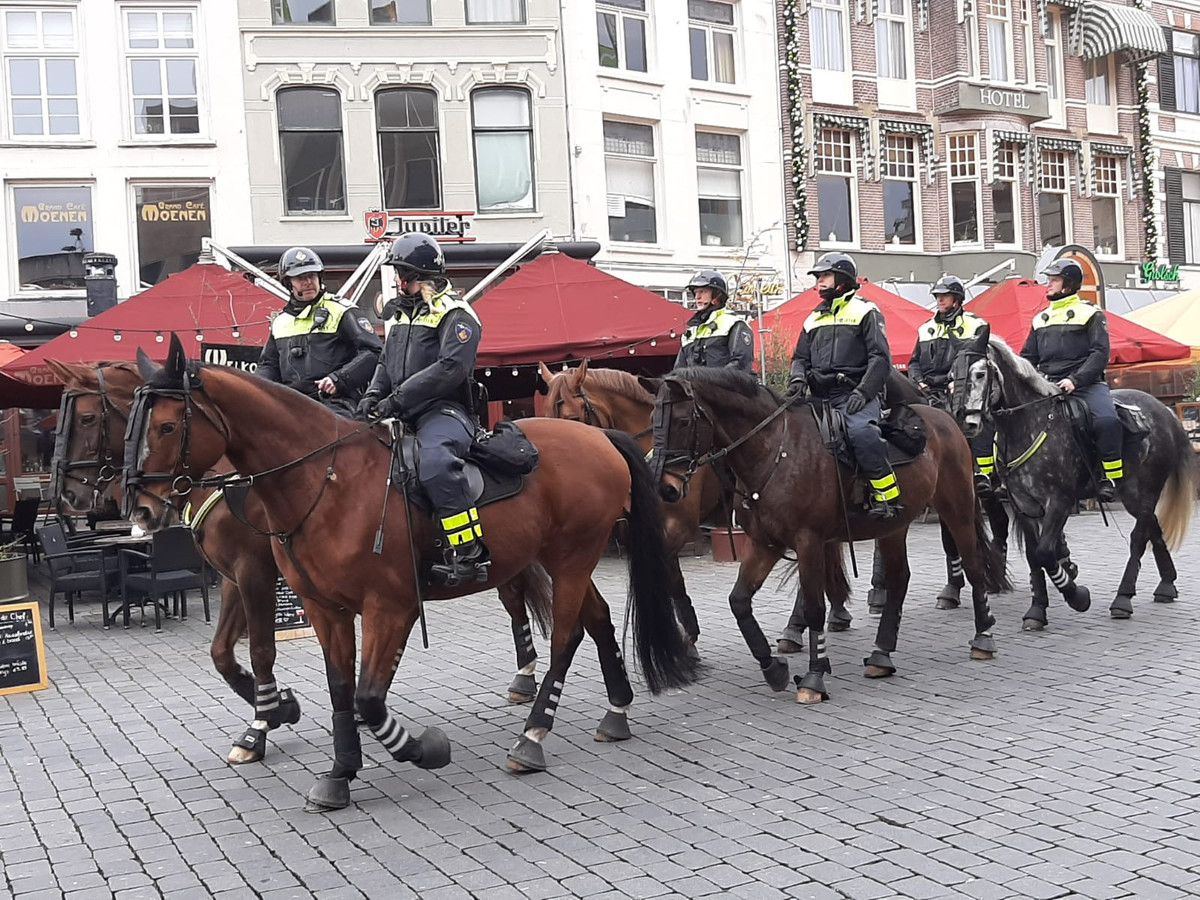 Politie te paard op Grote Markt in Nijmegen.