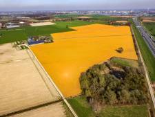 Landbouwgif verbieden? ‘Kom met een haalbaar plan om boeren ermee te laten stoppen’