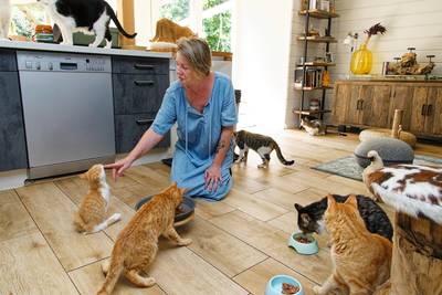 Arianne geeft 23 gehandicap­te katten een warm thuis: ‘Alleen een partner als hij van katten houdt’