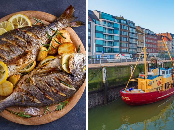 Heeft een harde brexit ook gevolgen voor het stukje vis op je bord? “Kans is groot dat je binnenkort meer betaalt voor bepaalde soorten”