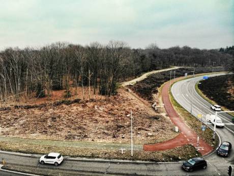 Wordt westelijke rondweg echt een walhalla voor de fietser? ‘Niet realistisch dat er geen auto's meer rijden’