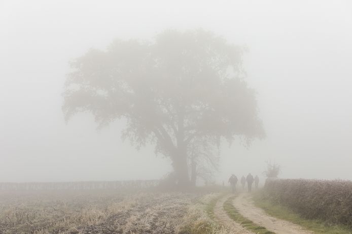 Wat Is Twente Toch Mooi In De Mist Hof Van Twente Tubantia Nl