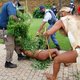 Politie sleurt Zuid-Afrikaanse chief aan zijn wietplant het park uit