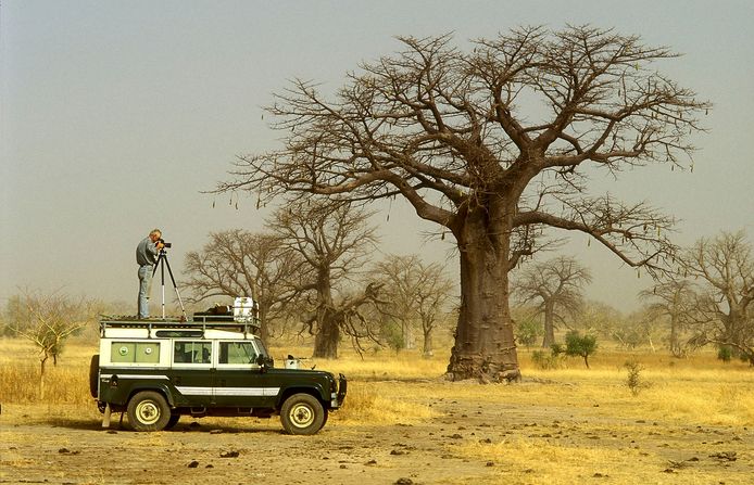Fotograaf Fred Hoogervorst bij baobabbomen in  Afrika