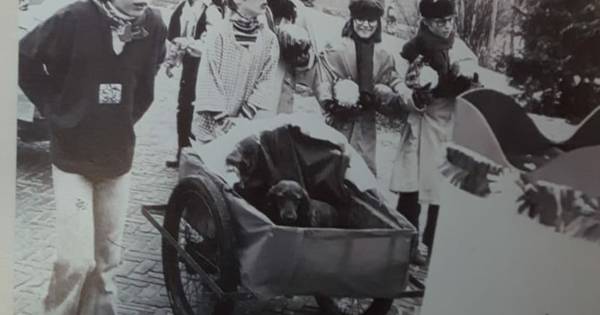 Blaarkoppen Knegsel vieren 55 jaar carnaval