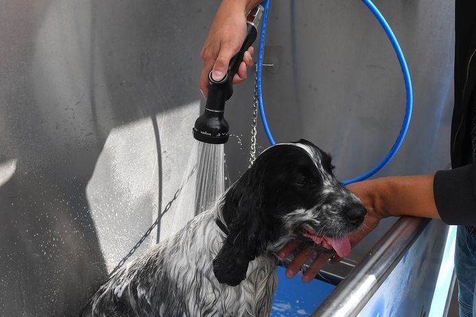 De bak in, geld in de automaat en wassen maar.