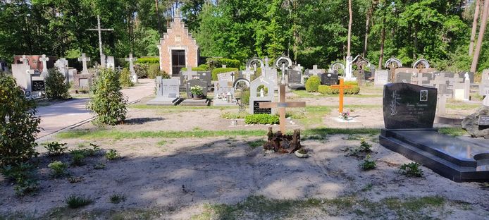 De begraafplaatsen van Postel en Rauw werden nog maar pas ingezaaid, maar daar is bijna niets van te zien.