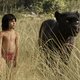 The Jungle Book, en waarom u deze film moet zien