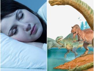 Waarom we 's nachts slapen en wat dinosaurussen daarmee te maken hebben