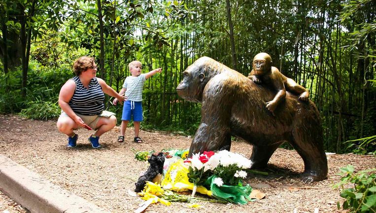 De Cincinnati Zoo, waar het incident vorige week plaatsvond. Bij een beeld van gorilla's zijn bloemen neergelegd. Beeld Reuters