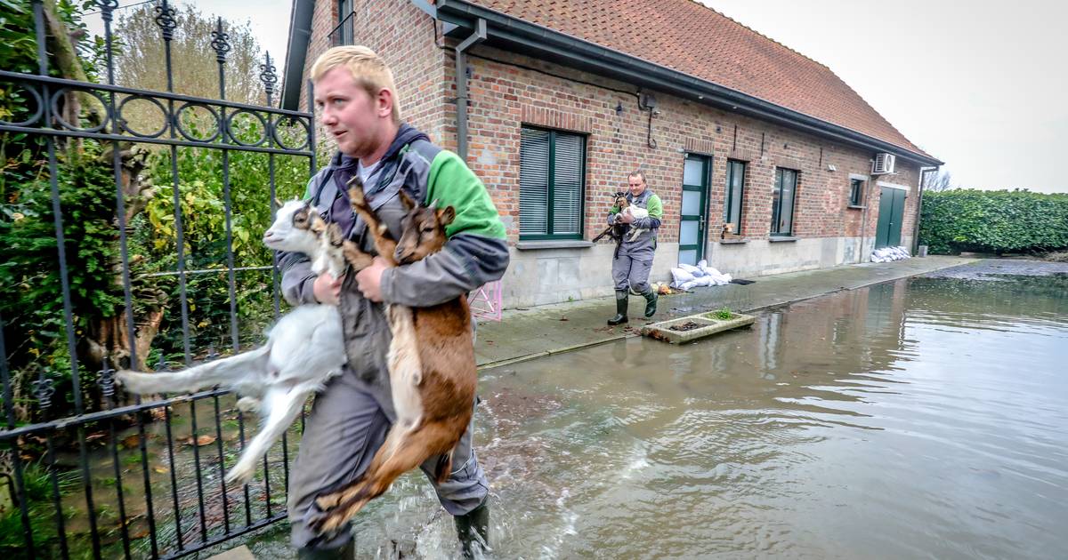 N-VA wants Bruges to have a volunteer corps: “Ideal for immediately recruiting people during an emergency”