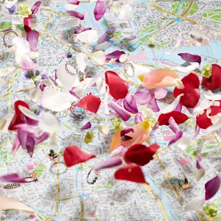 The most beautiful places for a proposal in Amsterdam