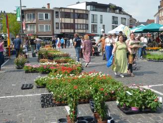 Bloemenmarkt lokt heel wat volk naar stadscentrum: “Door het mooie weer heeft iedereen nu energie om in de tuin te werken”
