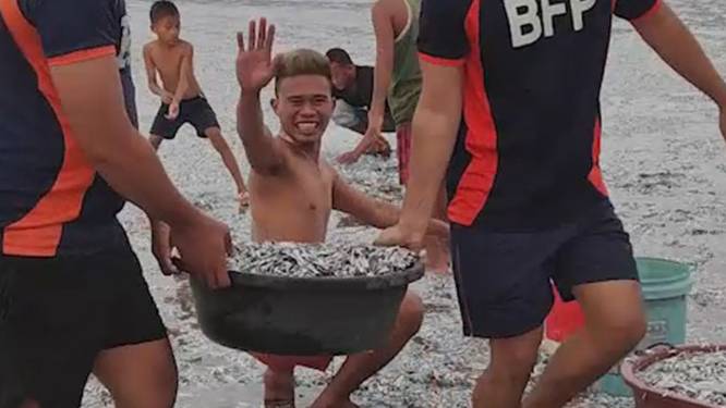 Un séisme fait apparaître des milliers de poissons sur une plage aux Philippines