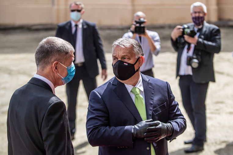 Hongaars premier Viktor Orbán in juni 2020. Beeld EPA
