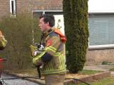 Kat gered bij woningbrand in Dongen, veel schade