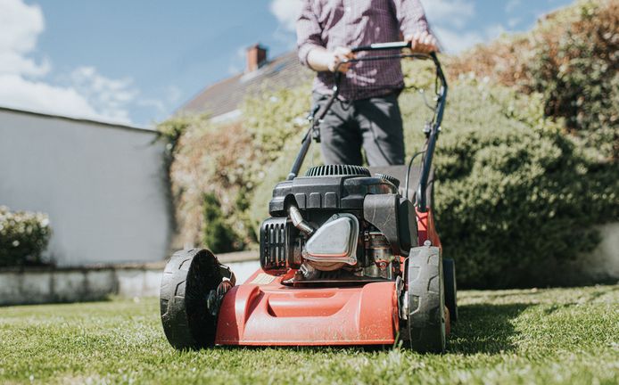 kussen Afstotend synoniemenlijst Getest: Dit is de beste grasmaaier met snoer | Best getest | AD.nl