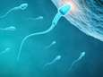 Sperma bedreigd door 'modern leven': 60% minder zaadcellen dan 40 jaar geleden