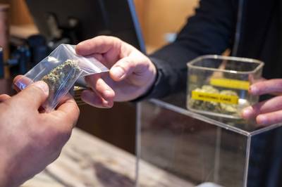 ‘Staatswiet’: In Nederland zal vanaf 2022 cannabis verkocht worden die in opdracht van de overheid wordt geteeld