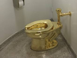“Massief gouden wc ter waarde van 2,25 miljoen euro gestolen in Engeland”