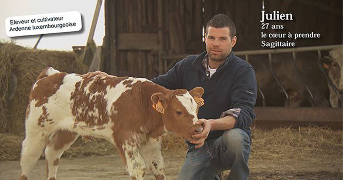 Le Bonheur De Deux Candidats Belges De L Amour Est Dans Le Pre Tele 7sur7 Be