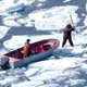 VS vraagt Canada jacht op jonge zeehonden te stoppen