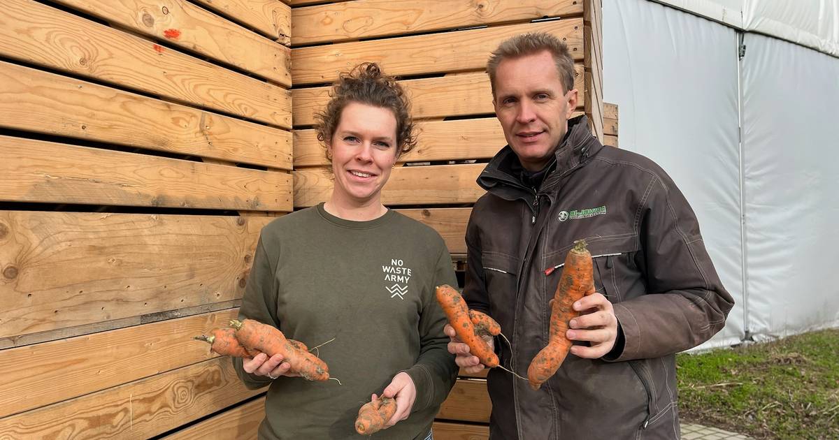 Farmer Stuck with 100,000 Kilos of Imperfect Carrots Due to Supermarket Beauty Standards