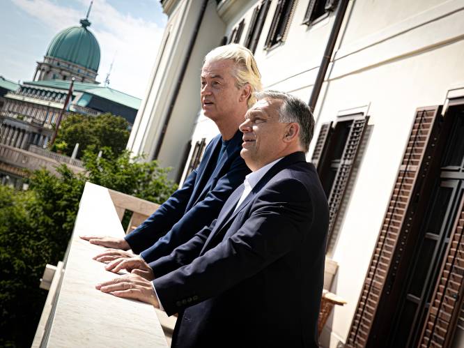 Andere onderhandelaars kijken mee als Wilders op podium stapt bij Orbán: wat betekent dit voor de formatie?