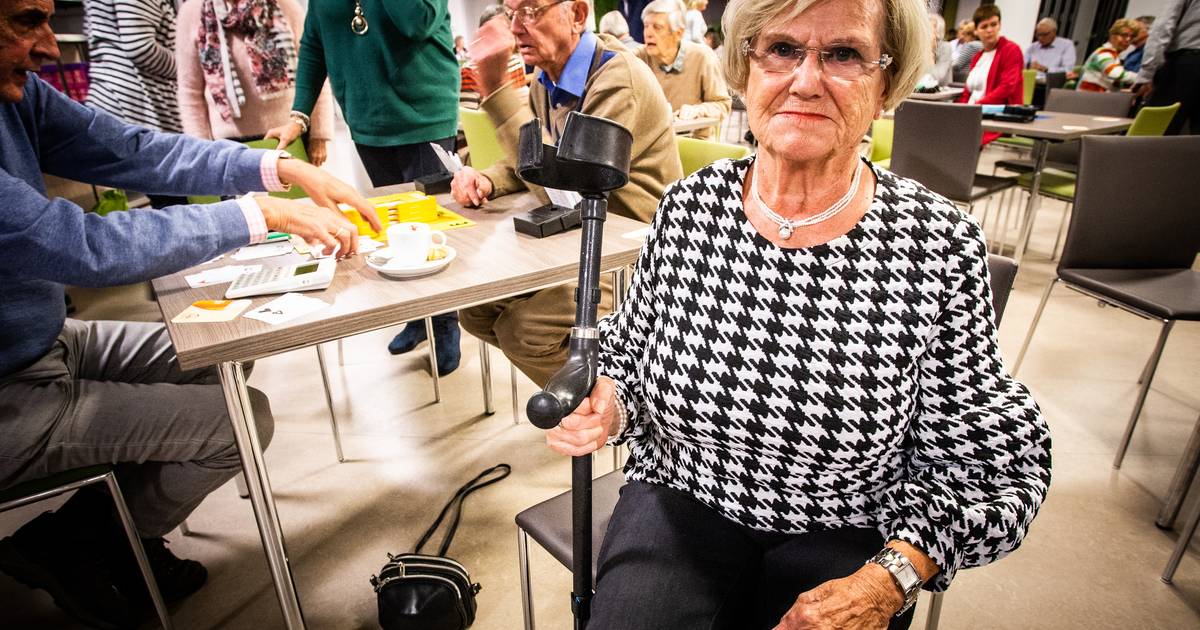 Bridgers in Mijnsheerenland willen voor de deur kunnen parkeren