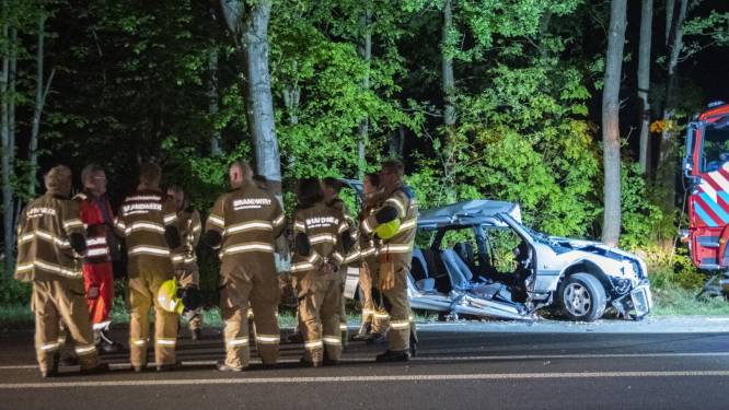 Man (27) uit Doorwerth overleden na eenzijdig auto-ongeluk Utrechtseweg