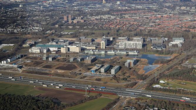 Mening | Stop met ‘bullshit jobs’ en gebruik ruimte efficiënter; kwalitatieve bedrijven nodig met lage milieubelasting
