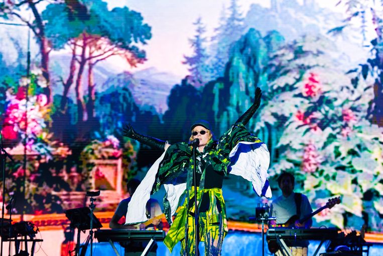 Róisín Murphy won de hoofdprijs in de categorie ‘vreemde vlerk’. Beeld Damon De Backer