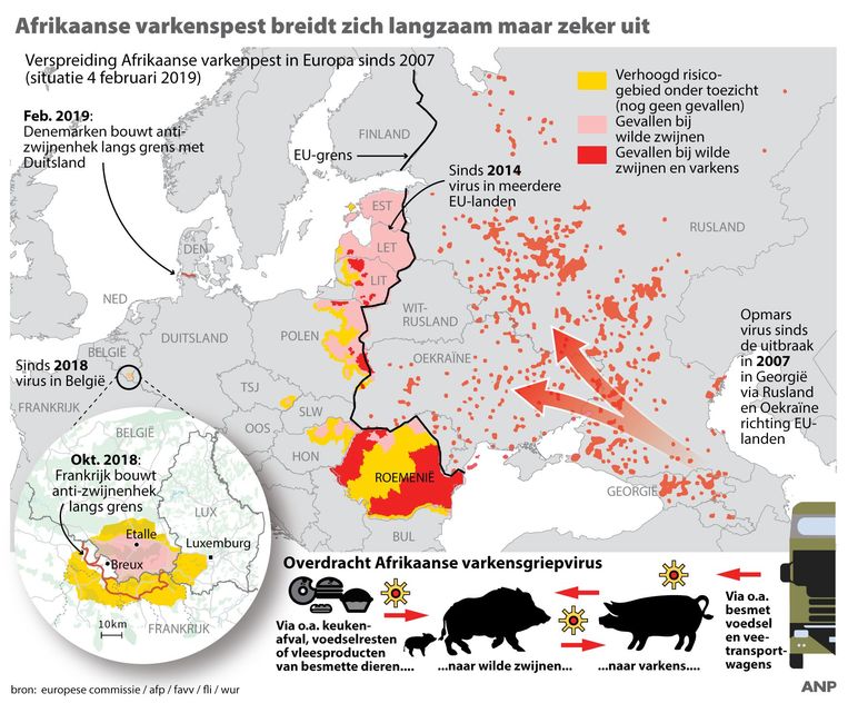Afrikaanse varkenspest breidt zich langzaam maar zeker uit, overzicht gevallen bij varkens en wilde zwijnen in Europa sinds 2007. Beeld ANP
