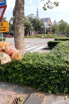 Vuilniszakken gaan hupsakee de beukenhaagjes op in Oosterhout: ‘Weinig plek in de straat’