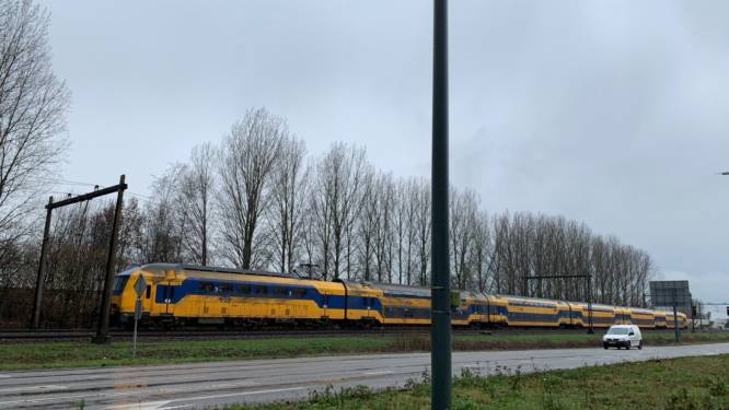 ProRail heeft ook dassenadvies voor spoor Deventer-Zutphen niet uitgevoerd