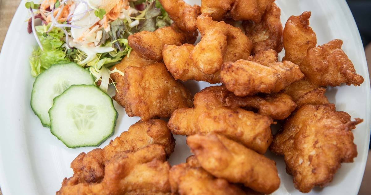 In deze kibbeling van Albert Heijn zit geen flinter vis (wel rijst en mais) Koken & Eten pzc.nl
