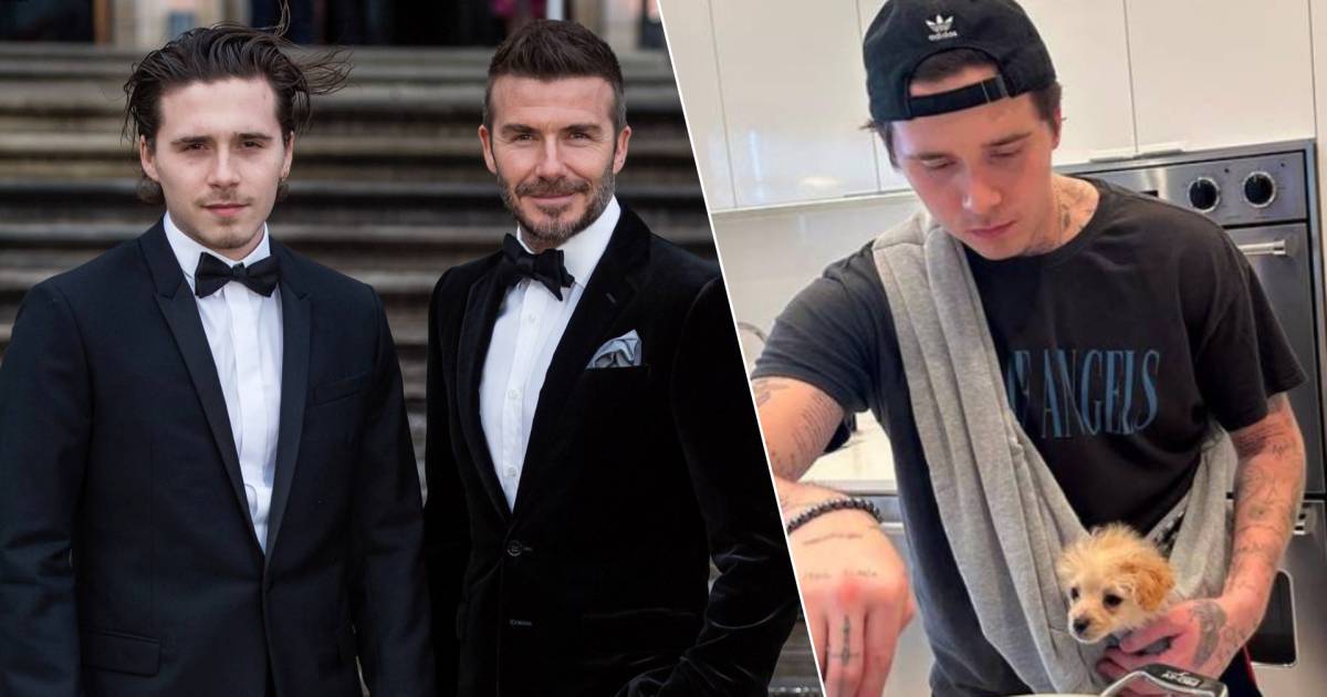 David Beckham taught his son Brooklyn to cook: 'I loved it' |  celebrities