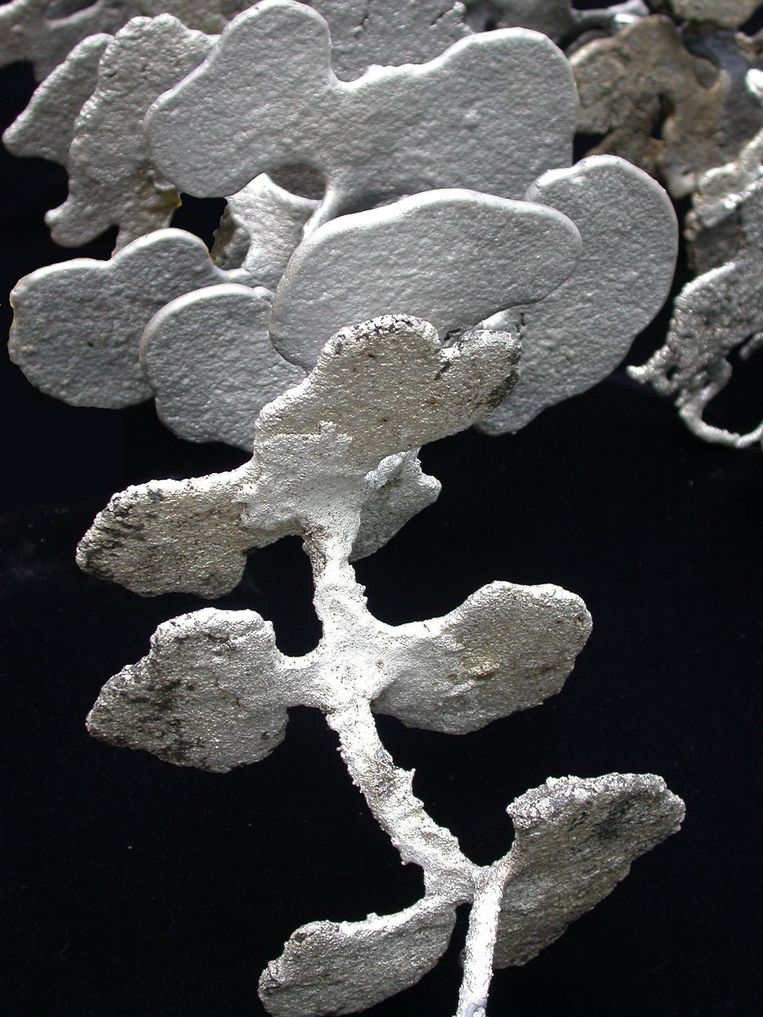 Walter Tschinkel: aluminium kopie van een mierennest.  Beeld Biënnale Milaan