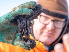 Olie aangespoeld op Walcherse stranden: ‘Na tien minuten zagen mijn board en voeten zwart’